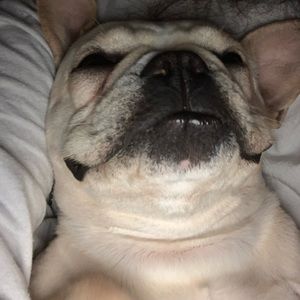 Meet your Posher, Gabriella